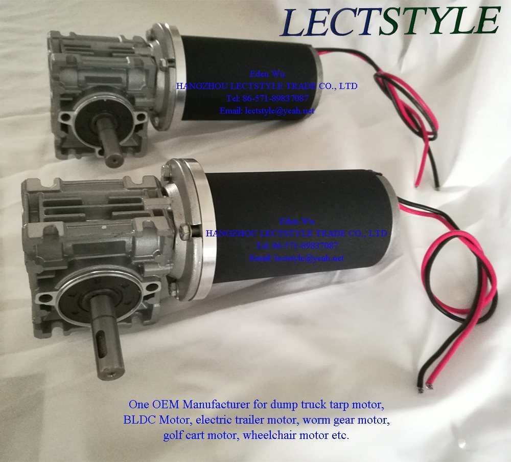 12V or 24V 50rpm 100W-350W DC Worm Gear Motor - Gear Motor, Worm Gear