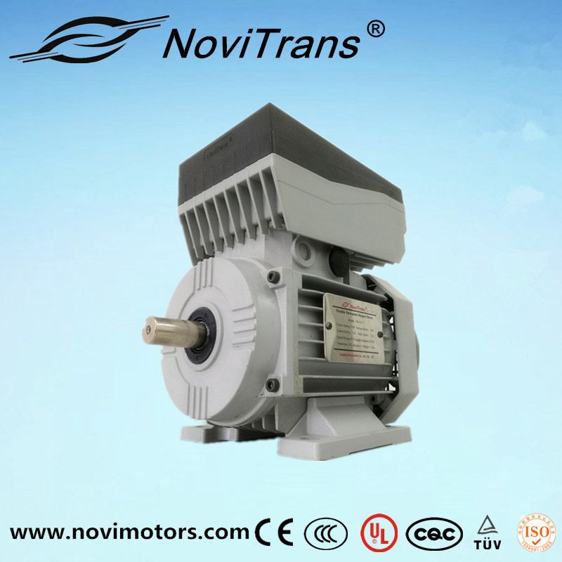 Three Phase Permanent Magnet Synchronous Motor Integrated Servo Motor Yvf 100 Synchronous