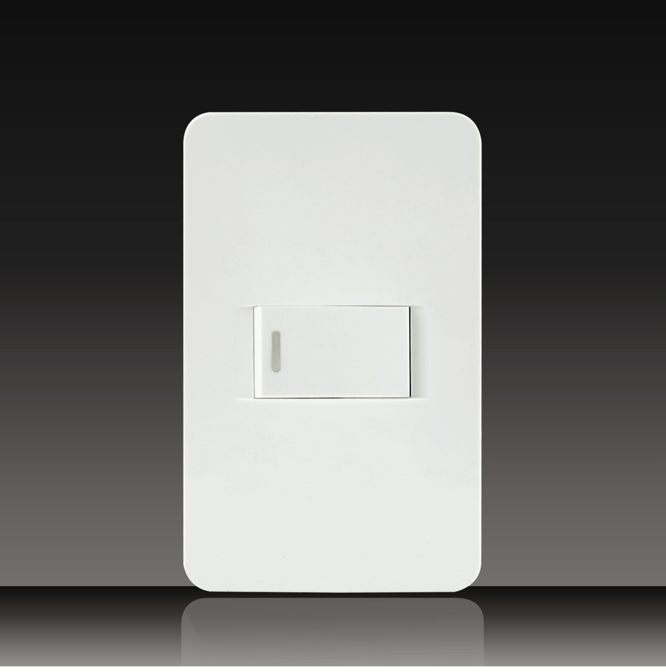 1 Gang 1 Way Wall Switch with Neon (LGL-11-1)