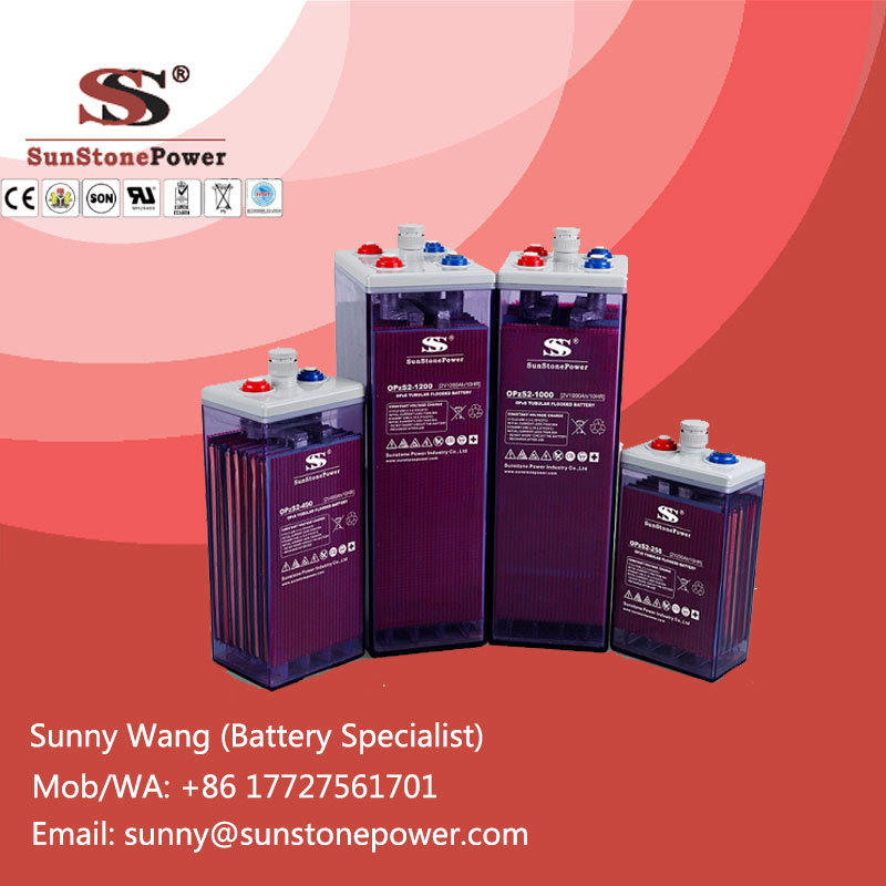 Rechargeable 2V Voltage 2500ah Flooded Lead Acid Batteries OPzS Battery