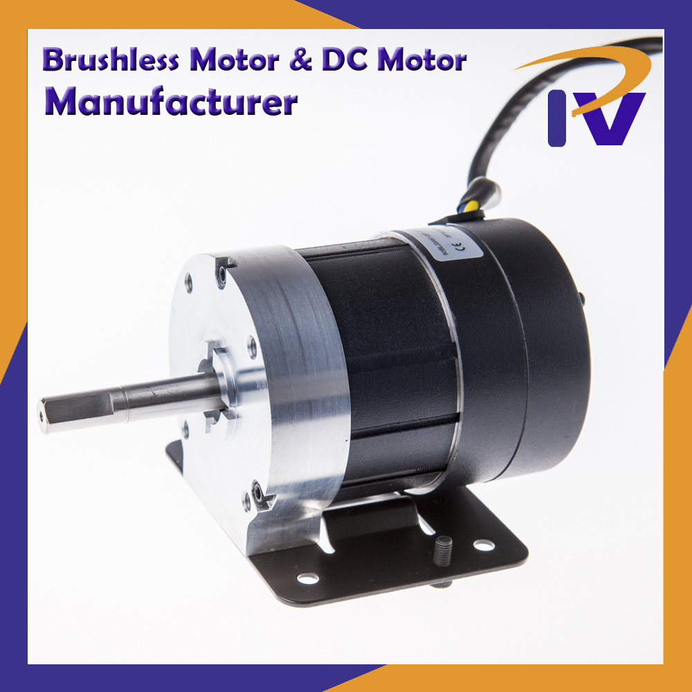 Permanent Magnet IEC Class 2 Brushless or Brush DC BLDC Motor for Pump Driver
