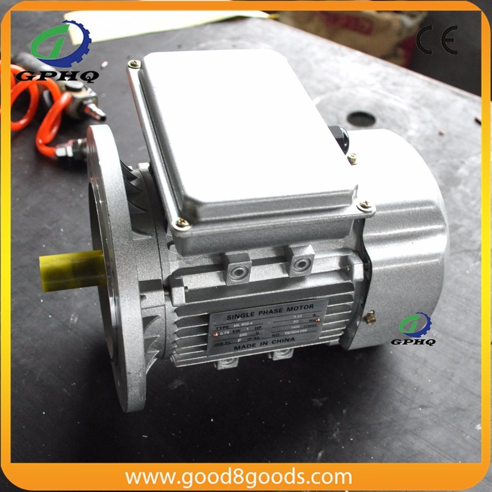 Ml100L-4 3HP 2.2kw Induction Motor