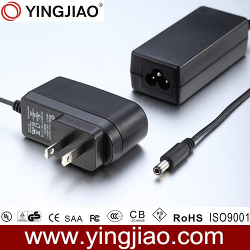 25W Switching Power Adapter Without DC Cord