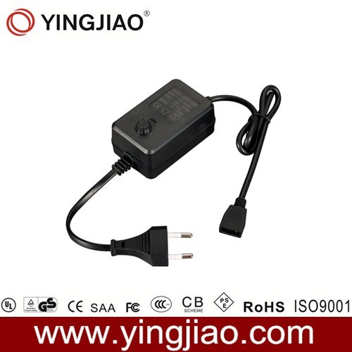 36W Switching Power Adapter with Variable Outputs