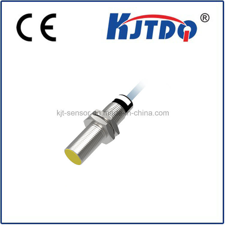 Low Temperature Inductive Sensor with Factory Price