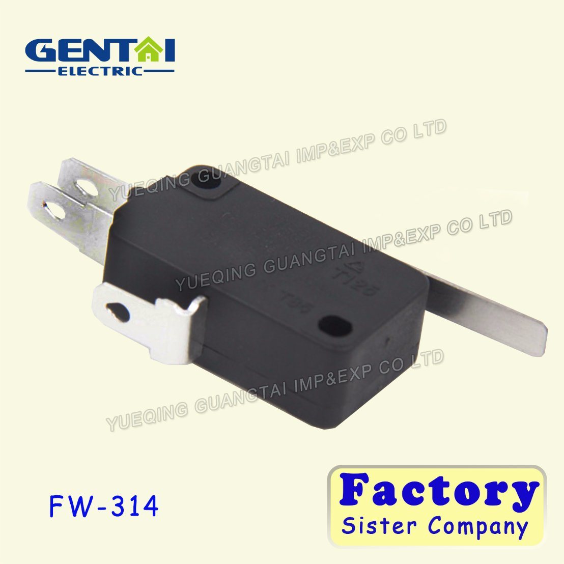 16A/250V T85 Push Button Micro Switch