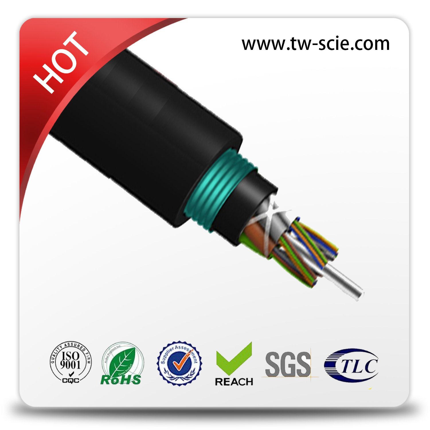 Fiber Optic Cable 4/6/12 Core Single Mode G652D Direct Buried GYTY53 -G