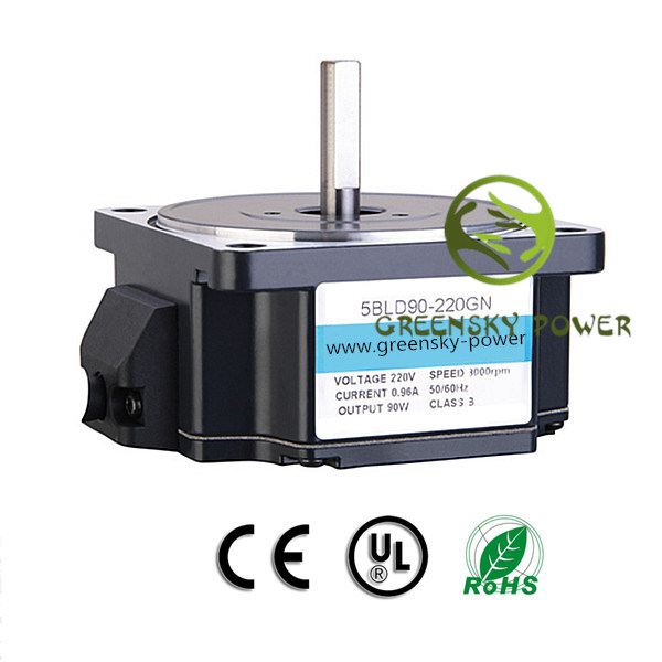 Micro 90W 3000rpm Brushless DC Motor with CE