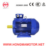 Hm Ie1 Asynchronous Motor / Premium Efficiency Motor 315s-4p-110kw