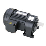 Horizontal Phase Small AC Motor with Gear_C