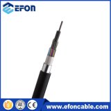 6 Cores Singlemode Fiber Optical Cable for Network