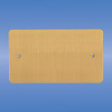 Double Blank Plate, Flat Brushed Brass