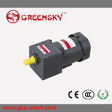 GS High Quality 60W 90mm AC Induction Motor