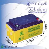 12V 65ah Maintenance Free Solar Battery for Power Supply
