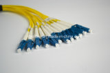 Pre-Terminated Connector LC-Sc Fiber Optic Patchleands, Sm, 12f, Corning Fiber