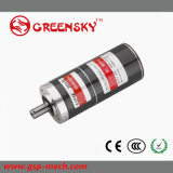 Top Selling in Europe 40W 52mm Planetary Brushless DC Motor