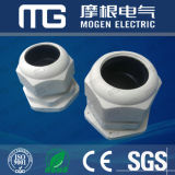 RoHS Approved Cable Gland