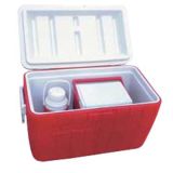 High Quality Competitive Price Plastic Cooler Box