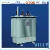 Three Phase Double Winding 20kv Distribution Transformers