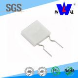 Ceramic Encased Wirewound Resistor with ISO9001 (RGCW)