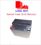 12V33A UPS AGM VRLA SLA Maintenance-Free Battery