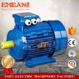 Y2 Series Three-Phase Asynchronous Electric Motor