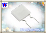 Rgcw Fixed Ceramic Encased Resistor (RX27-7)