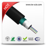 Outdoor Fiber Cable with Stranded Loose Tube Light-Armored GYTS