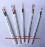 PVC Insulated and Sheathed Flat Wire (CU/PVC/PVC300/500V)