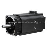AC Permanent Magnet Synchronous Electric Motor