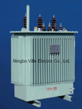 Three Phase Double Winding 20kv Distribution Transformer with off Circuit Tap Changer