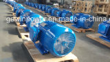 Y Series Electric Motor with IP44