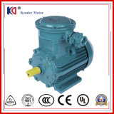 Three Phase Asynchronous AC Explosion Proof Motors