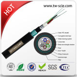 Outdoor Stranded Loose Tube Direct Buried Optic Fiber Cable (GYTA53 24core)