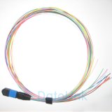 MPO 12color Fiber Optic Pigtails