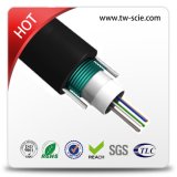 Single Mode Optical Fiber Cable with G652D Loose Tube 12 Core Armored GYXTW