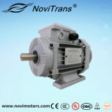 0.75kw AC Motor with Flexible Mechanical Power Transmission (YFM-80)
