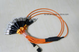 MPO-FC 12 Fibers Multimode Fiber Optical Patch Cords