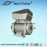 750W Permanent-Magnet AC Servo Motor with Self Overloading Protection
