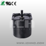 AC Reversibel Synchronous Motor with Low Speed