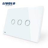 Livolo China Outlet White Black MOQ Certified Switched Socket Wall Switch (VL-C903-11/12)