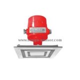Dpdt Relay Explosion-Proof D II Bt4~T6 RF Admittance Level Switch