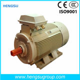 Ye3 High Efficiency Three-Phase Cast Iron Induction Electric Motor