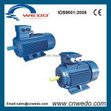 Y2-200L2-2 High Efficient Three Phase Asynchronous Electric Motor