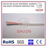 Stainless Steel Mi Rtd Cable