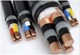 2 Core XLPE Insulation PVC Sheath Low Voltage Armoured Yjv Power Cable