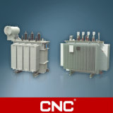 3 Phase Oil Immersed Power Transformer (ONAN)