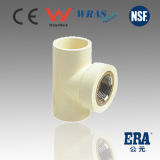 CPVC DIN Fitting Tee Adaptor with Brass Insert CPVC Fittings