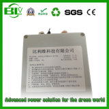 Electrofisher Power Supply of 12V30ah 18650 Lithium Battery Full Protections