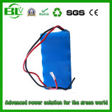 Top Selling UPS 12V10ah Lithium Battery Pack with BMS